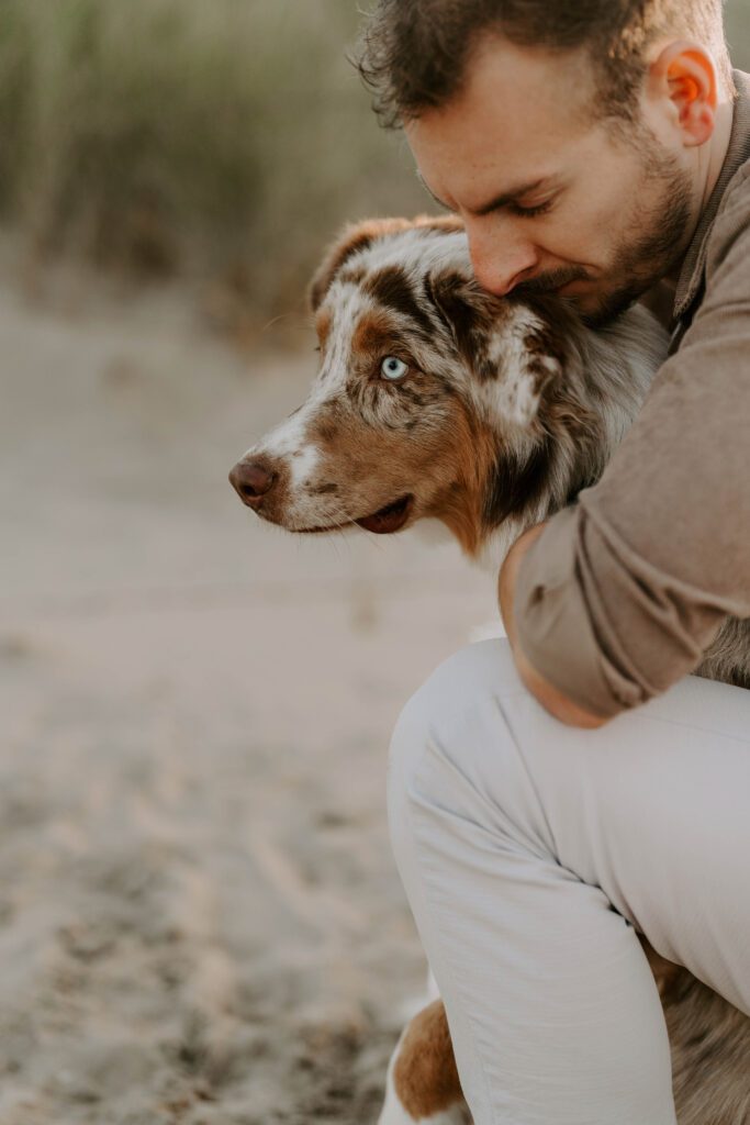 Wie läuft eine Fellfreundschaft in Holland ab?