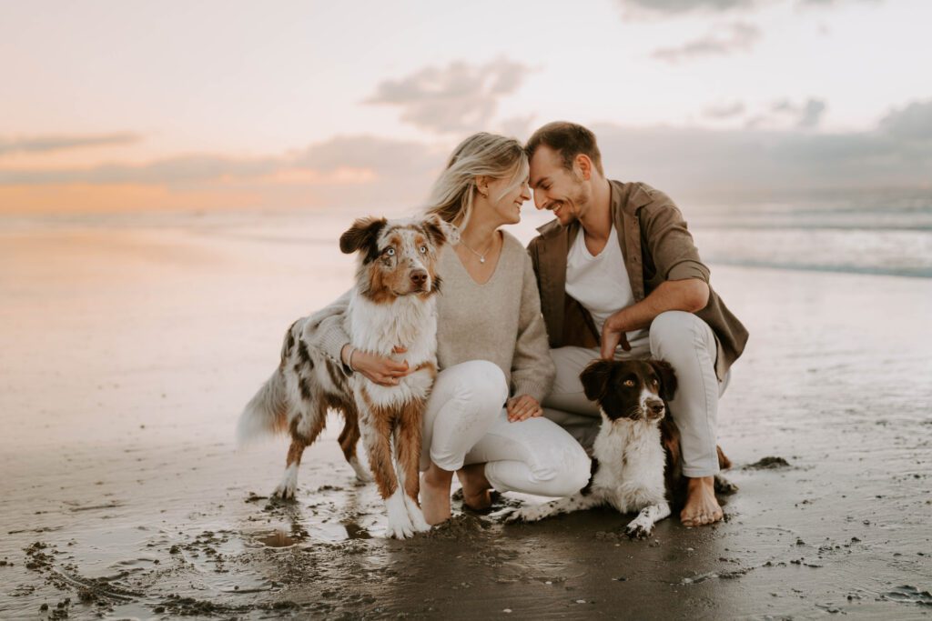 Paar mit zwei Hunden beim Fotoshooting am Strand von Zandvoort in Holland, umgeben von Sonnenuntergang und Meeresrauschen.