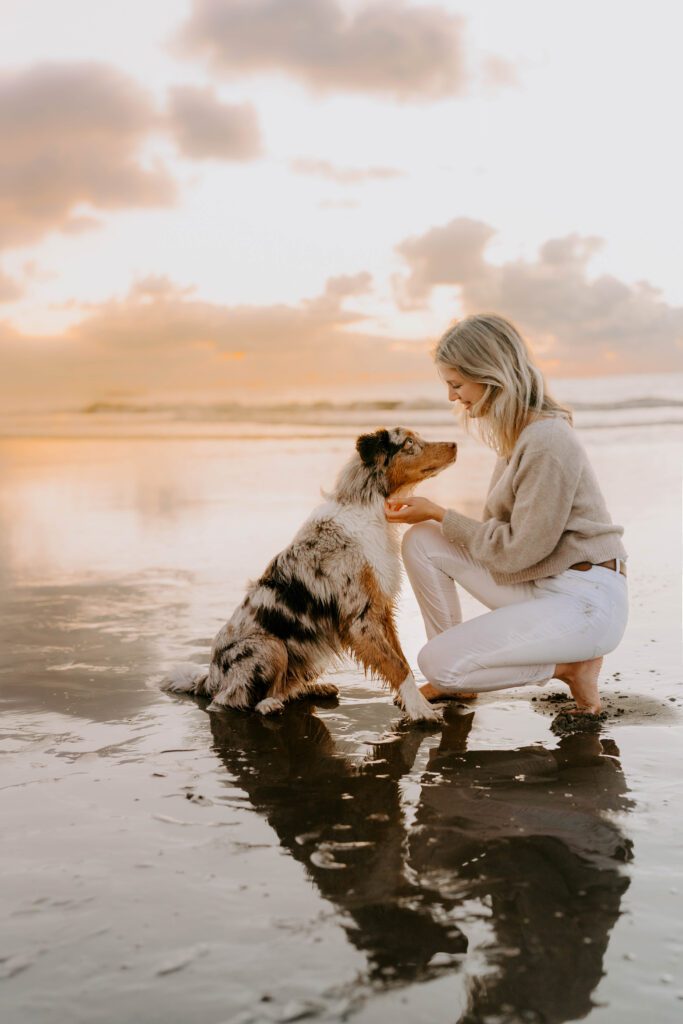 wie läuft ein Fotoshooting am Strand ab mit Fellfreundschaften