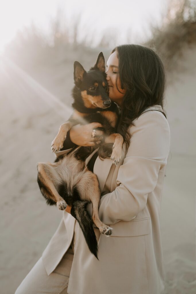 Hundefotografin macht Fotos von einem Hund am Strand in Holland während des goldenen Sonnenuntergangs
