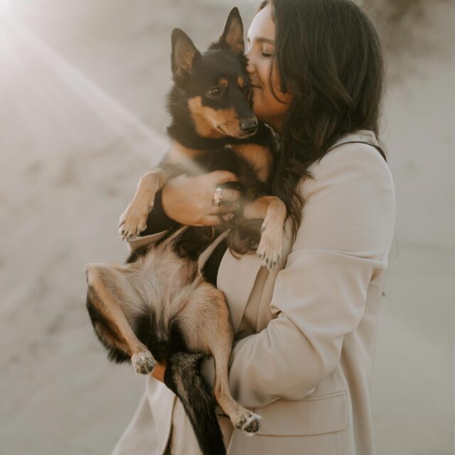 Hundefotografin macht Fotos von einem Hund am Strand in Holland während des goldenen Sonnenuntergangs