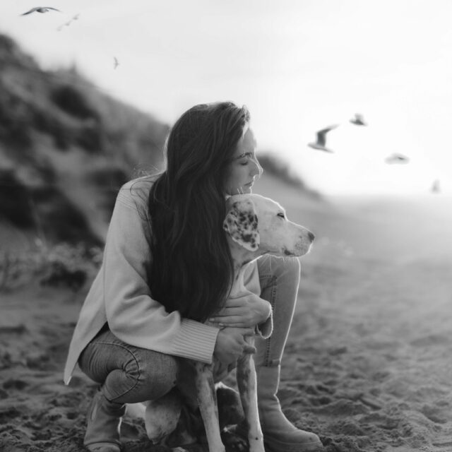 Mensch und Hund zusammen am Strand bei Sonnenuntergang – natürliche Hundefotografie in den Niederlanden