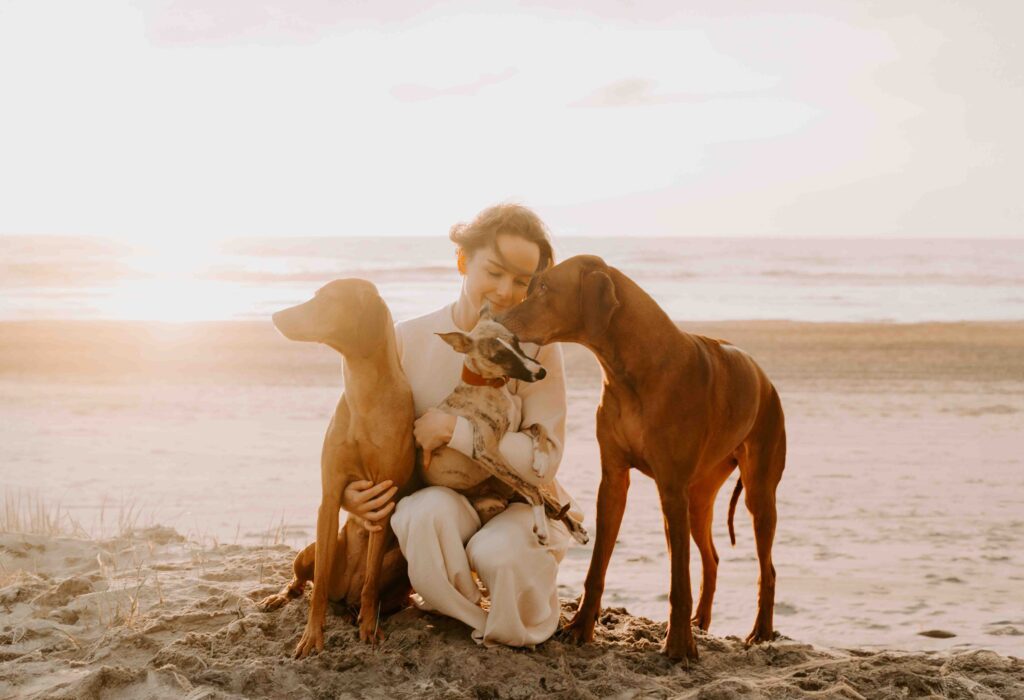 Hunde kuscheln mit Frauchen am Strand von Zandvoort in Holland
