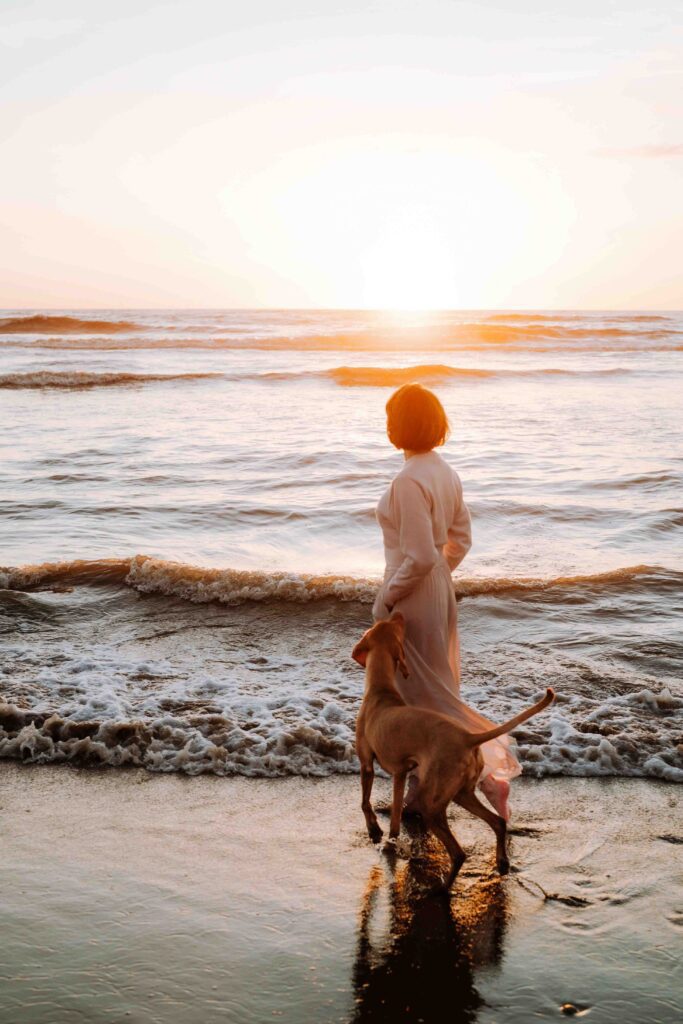Einmal mit dem Hund durchs Meer laufen, an der holländischen Küste