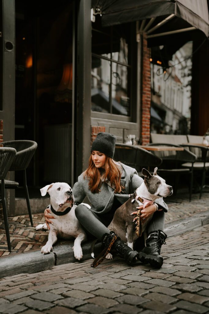 Hundefotoshooting in Holland Zandvoort Haarlem