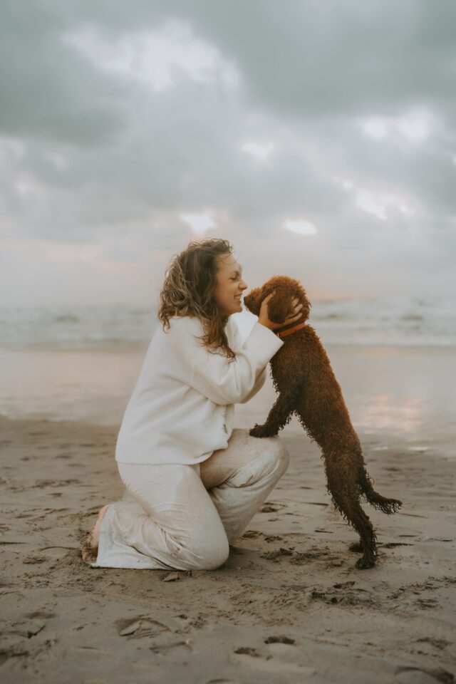 unge Frau spielt mit ihrem Pudel im flachen Wasser des Strandes von Holland, beide sind nass und voller Lebensfreude.
