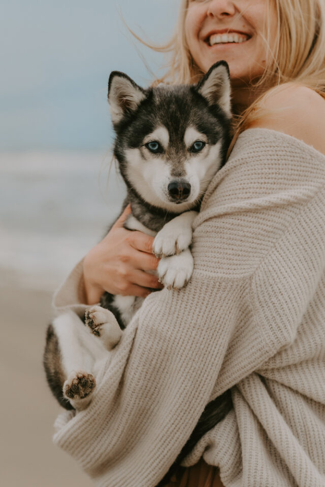 Hund kuschelt am Strand von Zandvoort mit Besitzerin