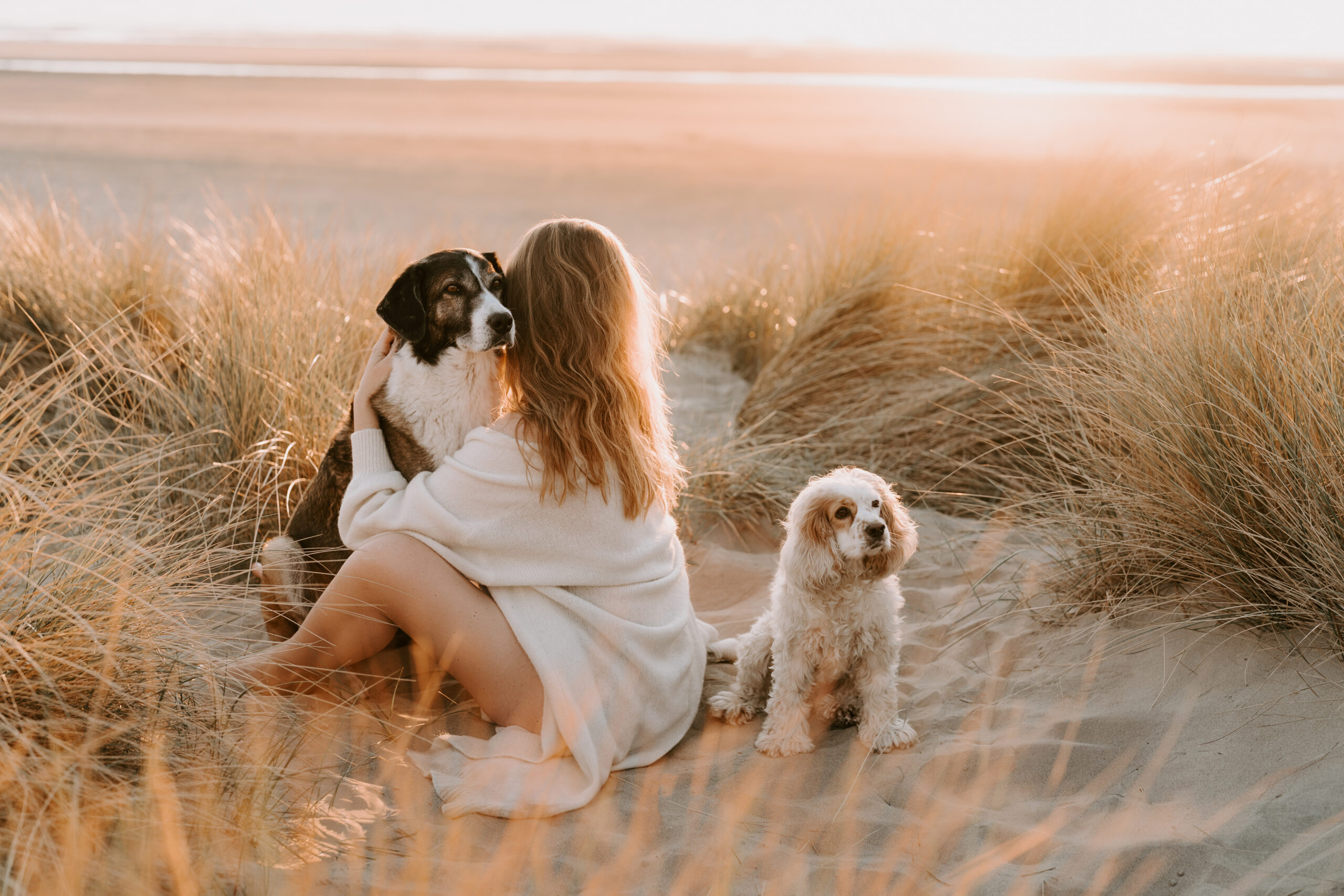Hundefotoshooting Holland – Frau sitzt mit zwei Hunden in den Dünen bei warmem Abendlicht
